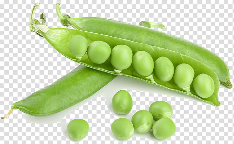 Background Green, Snap Pea, Edamame, Bean, Broad Bean, Food, Lima Bean, Vegetarian Cuisine transparent background PNG clipart
