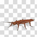 Spore creature Trachyaretaon brueckneri f transparent background PNG clipart
