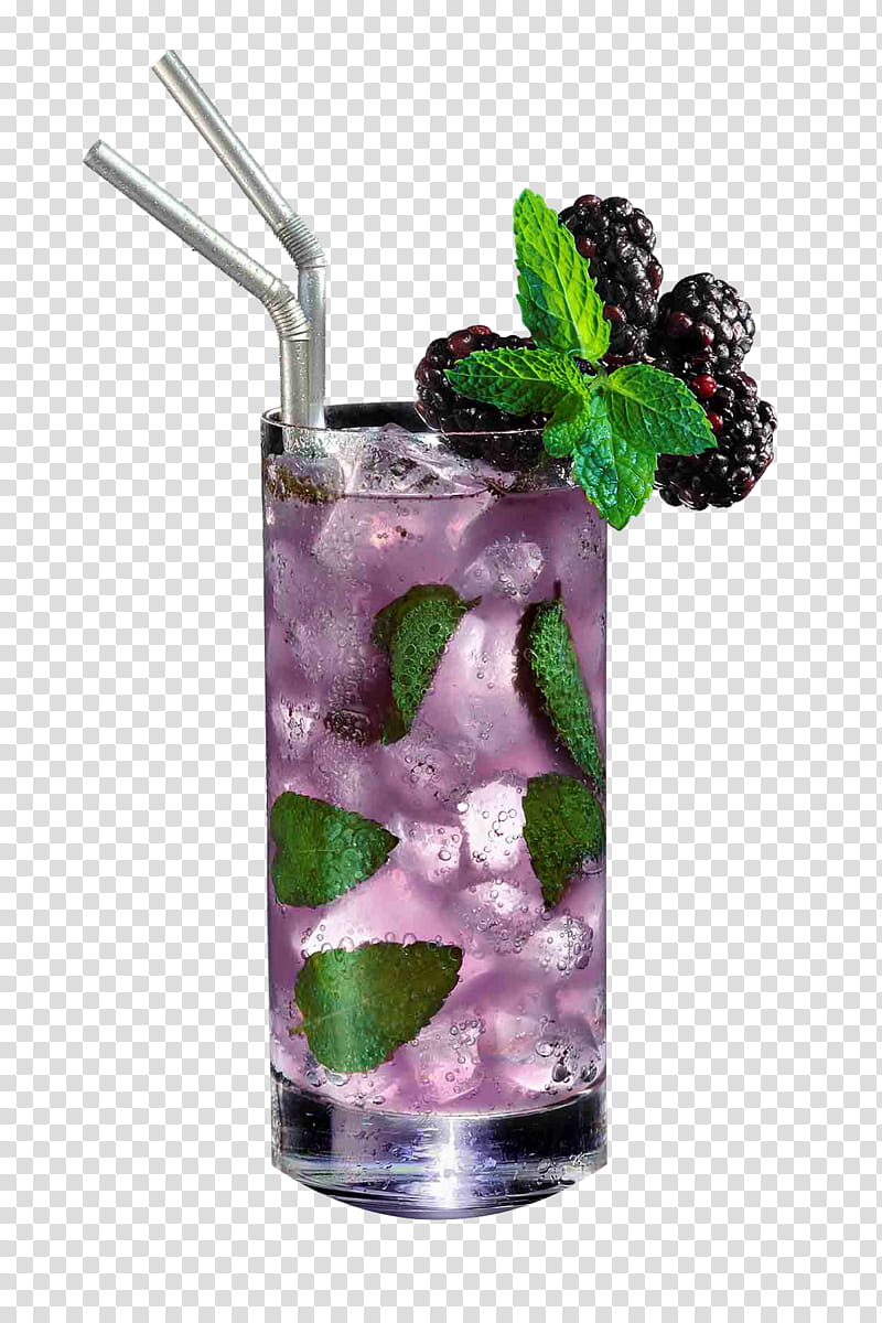 Sea, Mojito, Nonalcoholic Drink, Cocktail, Blueberry Tea, Rickey, Cocktail Garnish, Sea Breeze transparent background PNG clipart