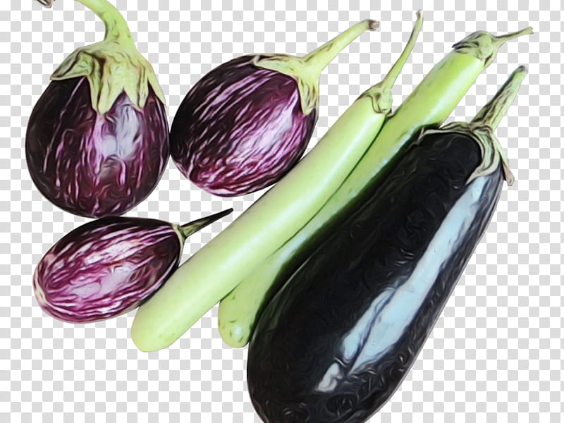 eggplant vegetable natural foods purple food, Watercolor, Paint, Wet Ink transparent background PNG clipart
