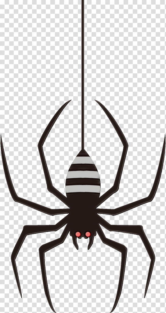 spider insect arachnid pest line, Watercolor, Paint, Wet Ink, Scorpion transparent background PNG clipart