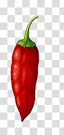 red chili pepper close-up transparent background PNG clipart