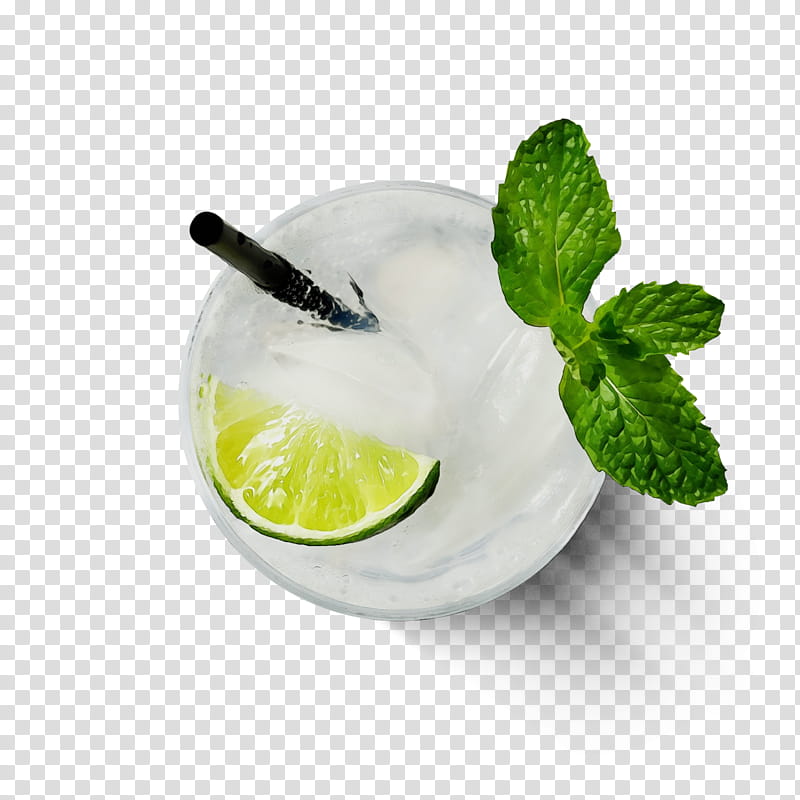 Watercolor Liquid, Paint, Wet Ink, Mojito, Vodka Tonic, Lime, Limonana, Cocktail Garnish transparent background PNG clipart