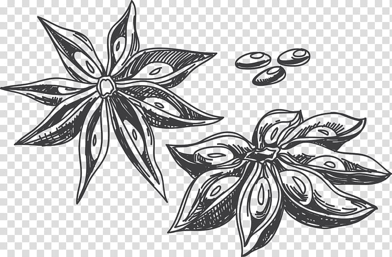 Black And White Flower, Condiment, Star Anise, Food, Spice, Fivespice Powder, Chicken As Food, Ingredient transparent background PNG clipart