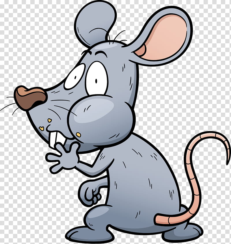 Donkey, Drawing, Nose, Rat, Mouse, Tail, Area, Muroidea transparent background PNG clipart