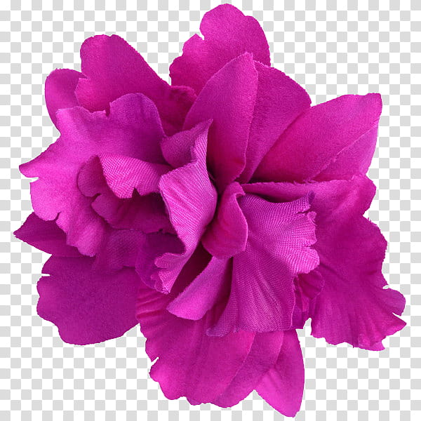 flower power s, purple multi-petaled flower transparent background PNG clipart