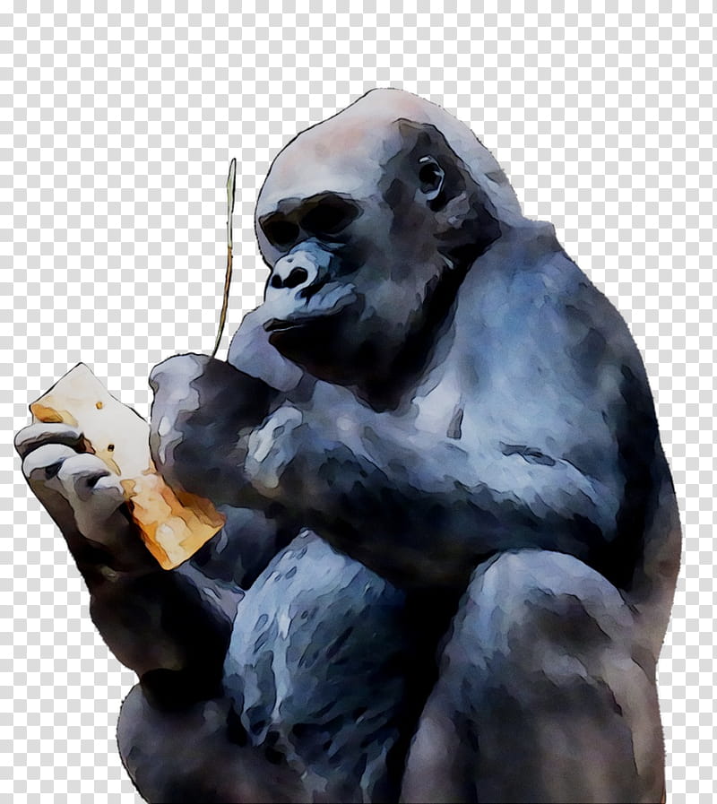 Gorilla, Western Gorilla, Common Chimpanzee, Snout, Western Lowland Gorilla, Statue, Sculpture transparent background PNG clipart