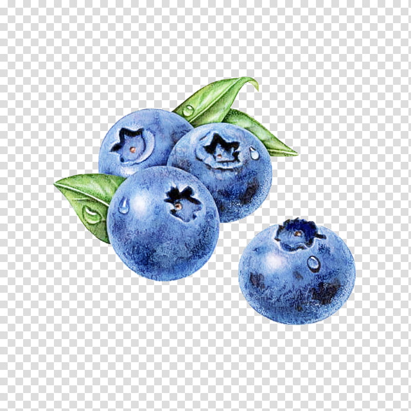berry blueberry blue bilberry fruit, Plant, Superfood, Sphere transparent background PNG clipart