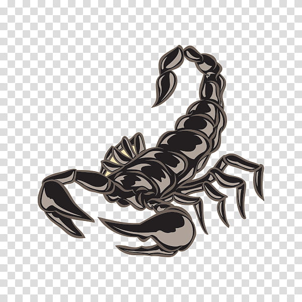 scorpion lobster decapoda homarus crab, Claw, Arachnid transparent background PNG clipart