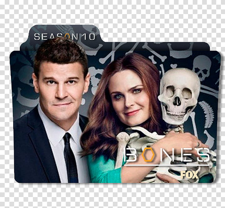 Bones Serie Folder, Season  Bones Fox folder transparent background PNG clipart