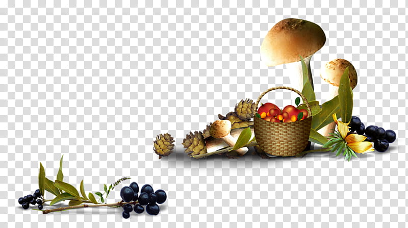 Autumn Drawing, Cartoon, Fruit, Frames, Food, Natural Foods, Superfood, Plant transparent background PNG clipart