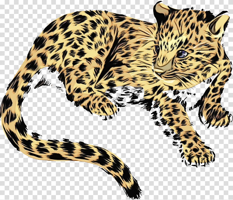Cats, Jaguar, Jaguar Etype, Jaguar Mark Iv, Web Design, Leopard, Animal Figure, Wildlife transparent background PNG clipart