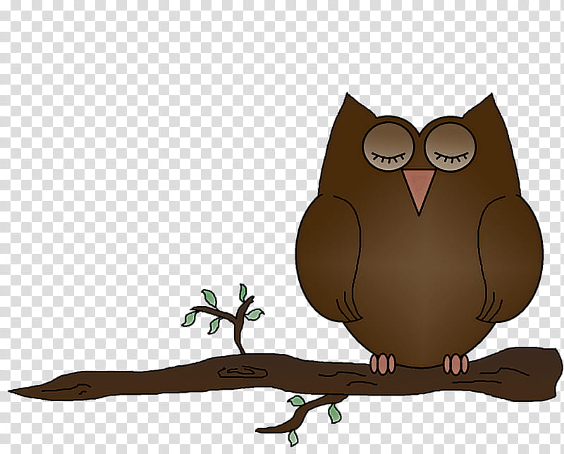 owl bird bird of prey eastern screech owl branch, Cartoon, Animation transparent background PNG clipart