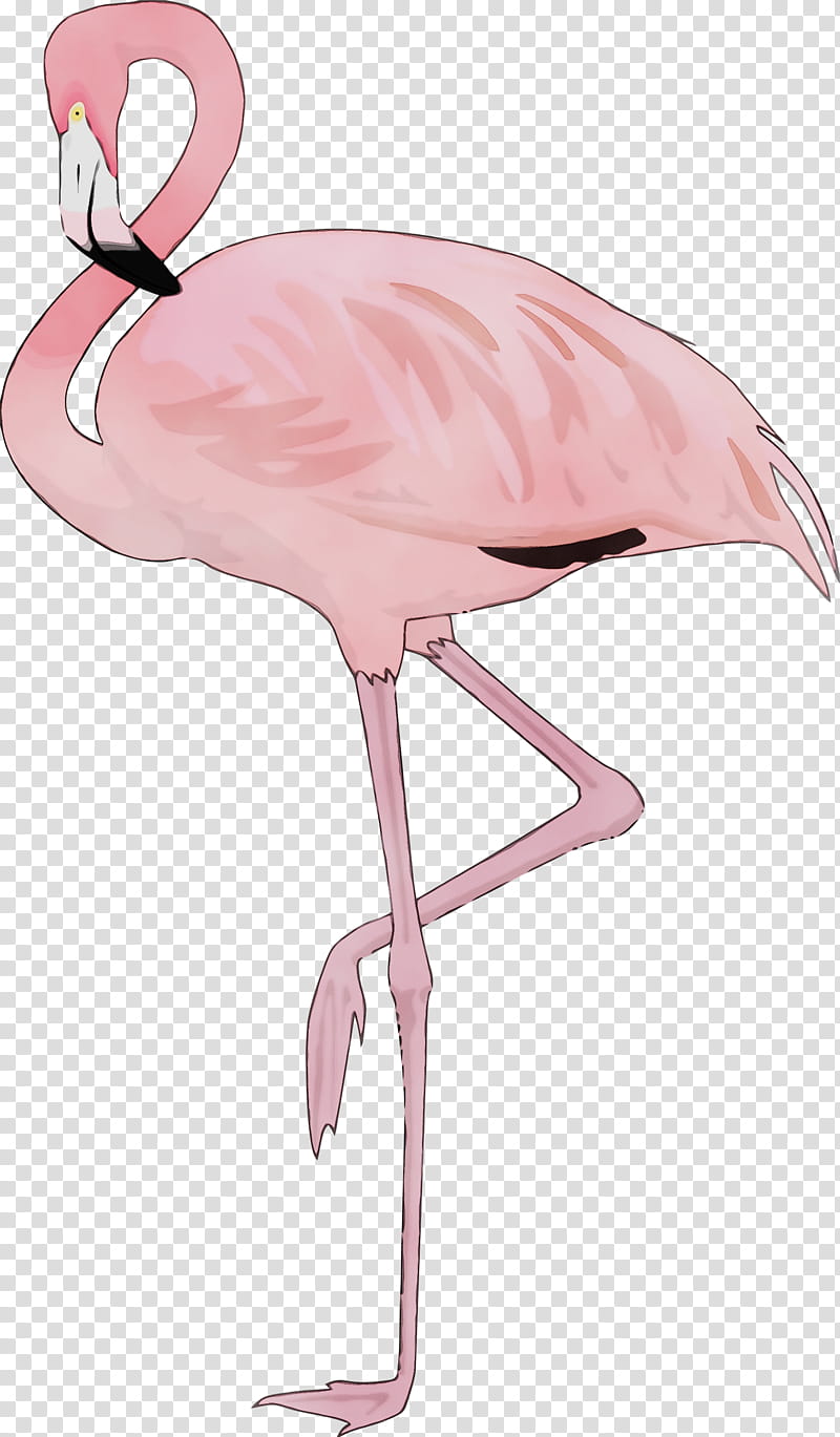 Flamingo, Watercolor, Paint, Wet Ink, Greater Flamingo, Bird, Pink, Water Bird transparent background PNG clipart