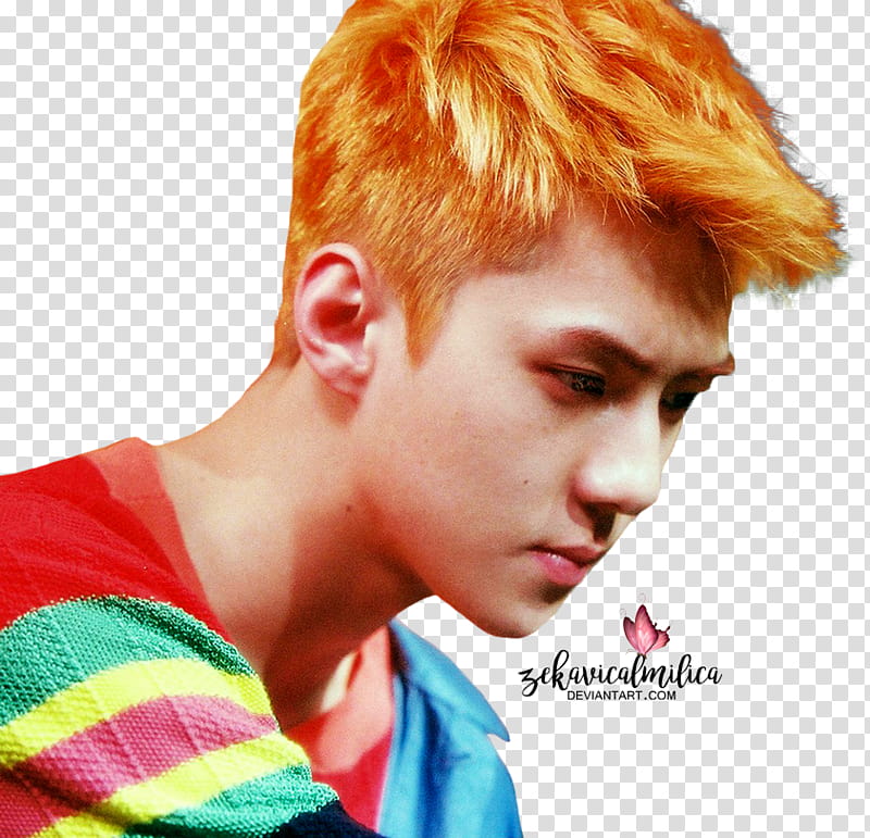 EXO Sehun The War, men's multicolored top transparent background PNG clipart