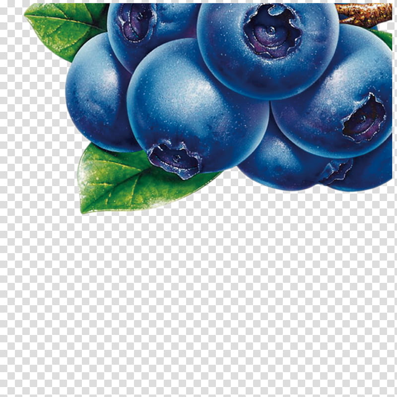 Eye, Blueberry, Blueberry Tea, European Blueberry, Fruit, Bilberry, Cocktail, Juice transparent background PNG clipart