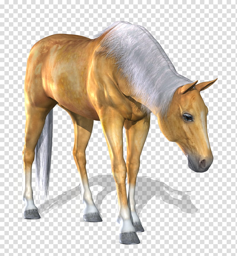 Horse , brown hors eillustration transparent background PNG clipart