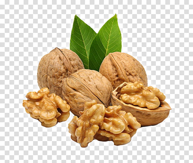 Walnut Tree, Vegetarian Cuisine, Food, Walnut And Coffee Cake, Acorn, Tree Nut Allergy, Fruit, Tree Nuts transparent background PNG clipart