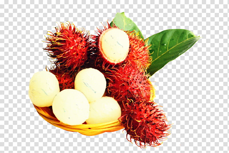 Family Tree, Rambutan, Lychee, Fruit, Longan, Tropical Fruit, Food, Pitaya transparent background PNG clipart