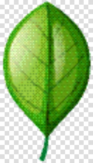 Green Leaf, Tree, Plant transparent background PNG clipart thumbnail