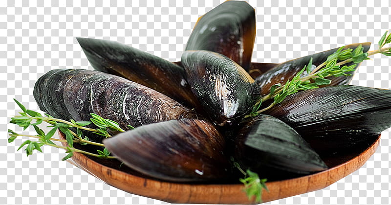 Seafood, Mussel, Clam, Kofta, Stuffed Mussels, Restaurant, Bulgur, Bivalve transparent background PNG clipart
