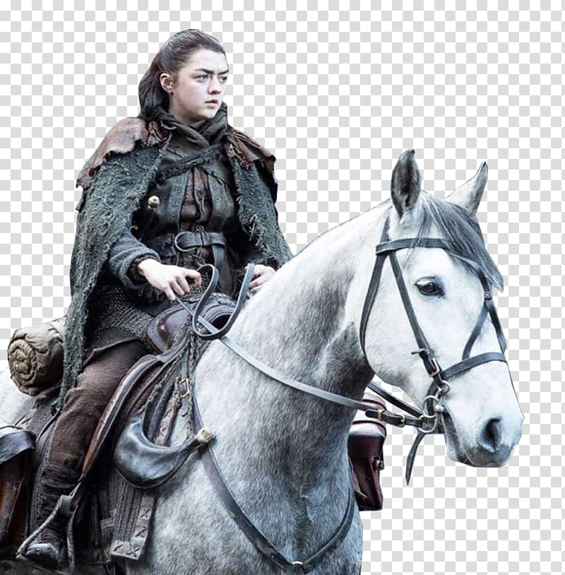 Game Of Thrones Arya Stark transparent background PNG clipart