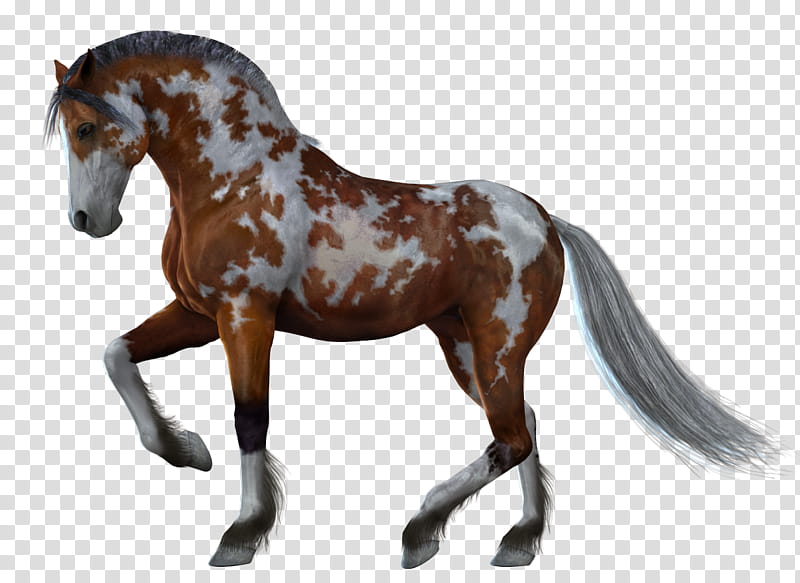 Horse , brown and gray horse transparent background PNG clipart