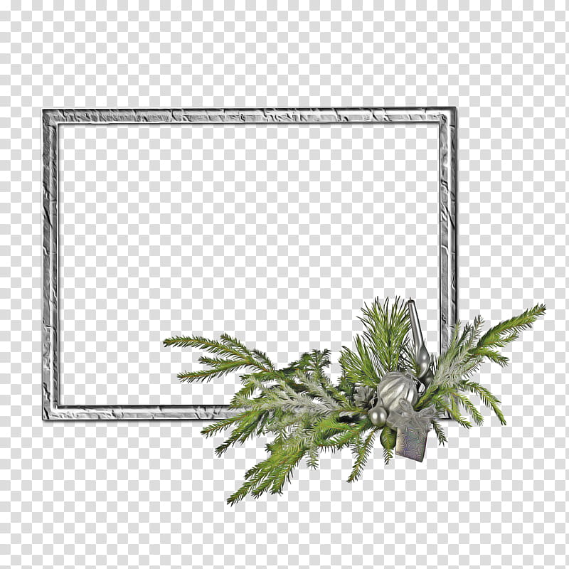 Frame Frame, Rectangle, Frames, Pine, Pine Family, Yolka, Plant, Vascular Plant transparent background PNG clipart