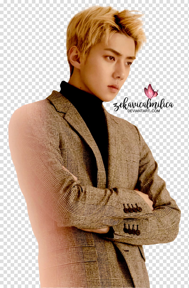 EXO Sehun For Life, man wearing brown suit jacket standing transparent background PNG clipart