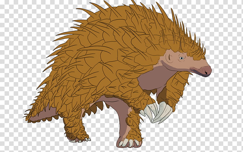 Bear, Echidna, Hedgehog, Porcupine, Snout, Animal, Erinaceidae, Wildlife transparent background PNG clipart