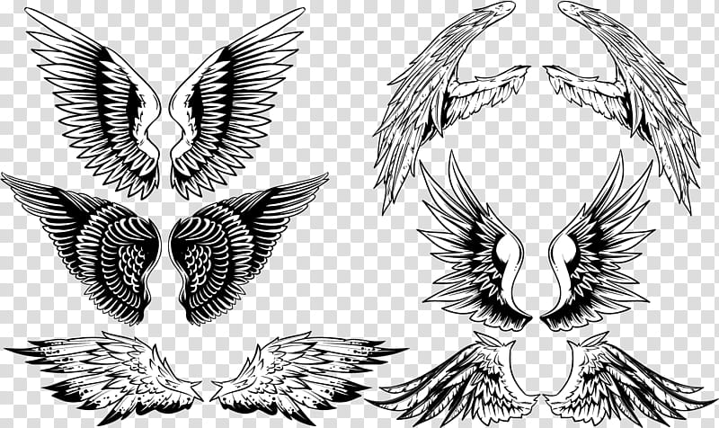 Logo Wing, Tattoo, Line Art, Symmetry, Blackandwhite transparent background PNG clipart