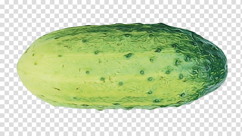 Watermelon, Honeydew, Wax Gourd, Cucumber, Pickled Cucumber, Cucumber M, Cucurbita Maxima, Cucurbits transparent background PNG clipart