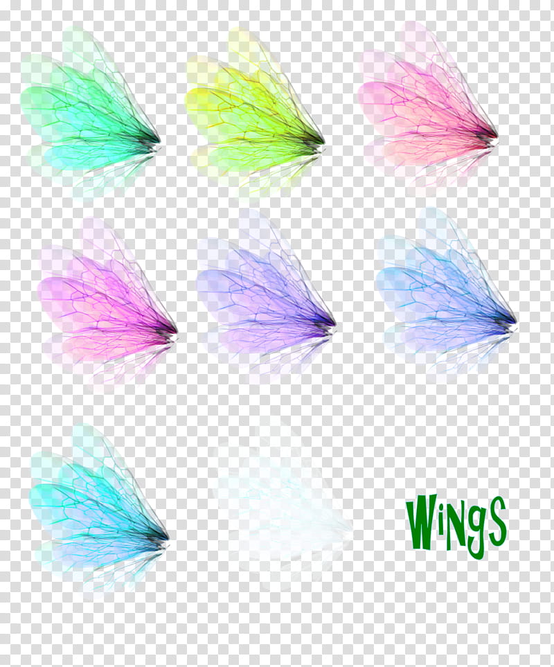 Wing Set , multicolored wings transparent background PNG clipart