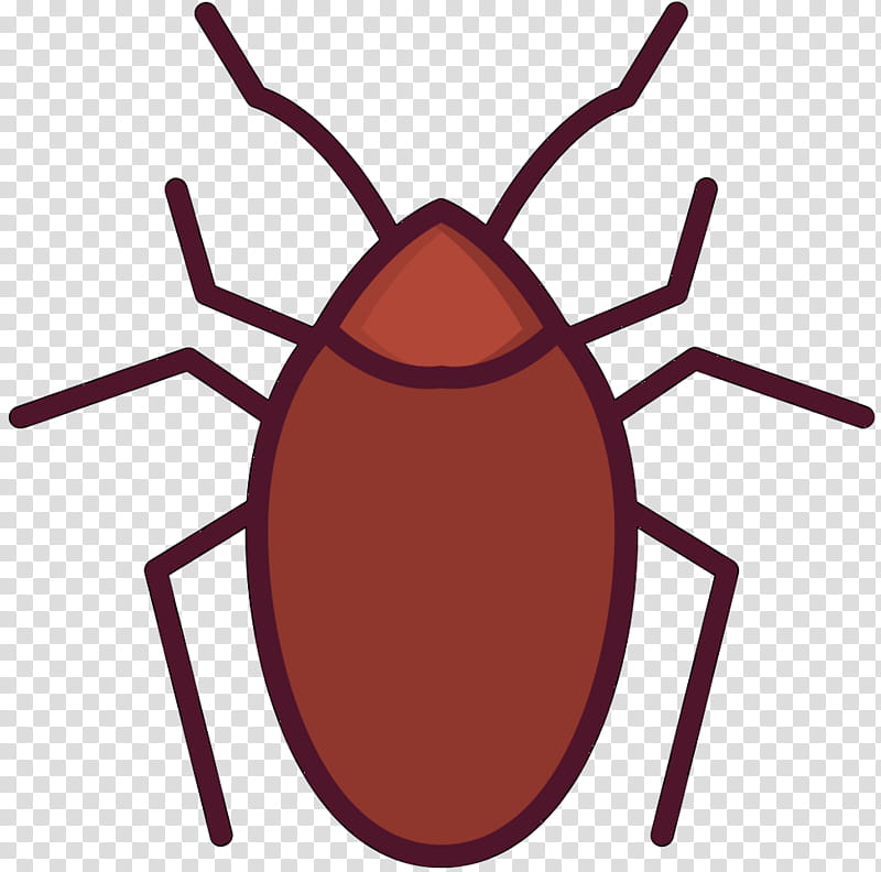 Cockroach, Insect, Mosquito, Drawing, Pest, Line, Parasite, Tick transparent background PNG clipart