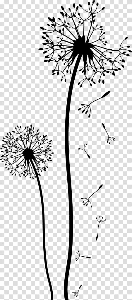 Drawing Of Family, Doodle, Wall Decal, Painting, Stencil, Common Dandelion, Pyrography, Music transparent background PNG clipart