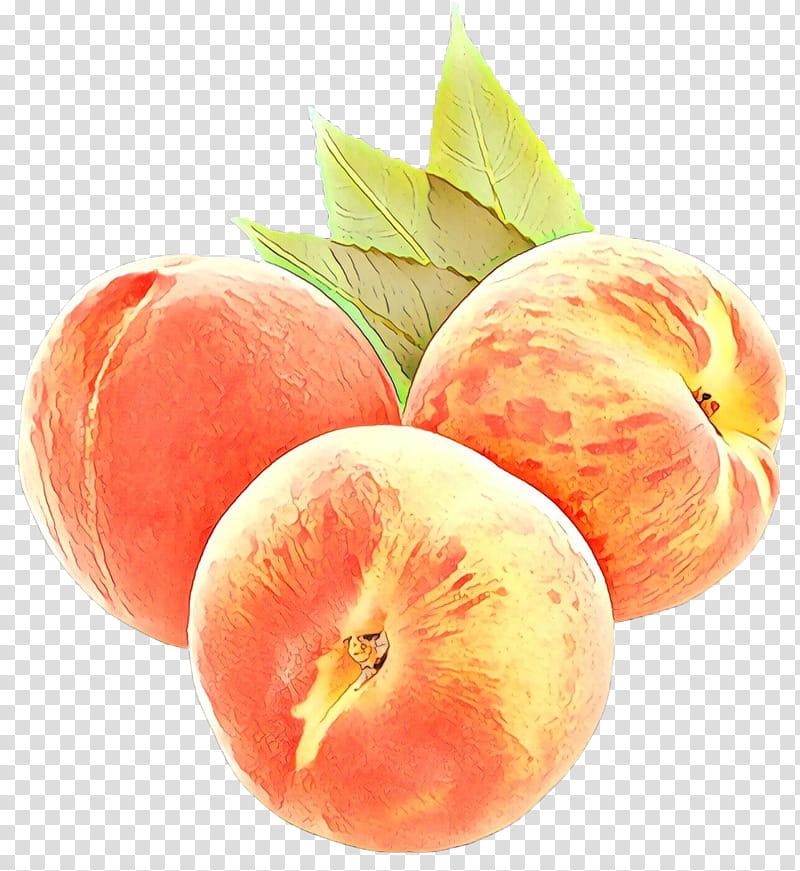 Fruit, Aesthetics, Food, Peach, Apricot, Natural Foods, Plant, Superfood transparent background PNG clipart