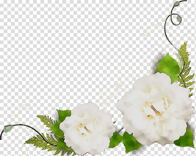 Floral Flower, Garden Roses, Floral Design, Cut Flowers, Gardenia, Flower Bouquet, Nail Art, Color transparent background PNG clipart