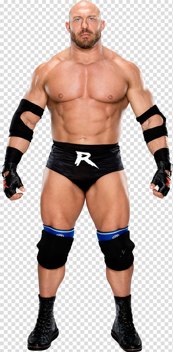 Ryback  Stats transparent background PNG clipart
