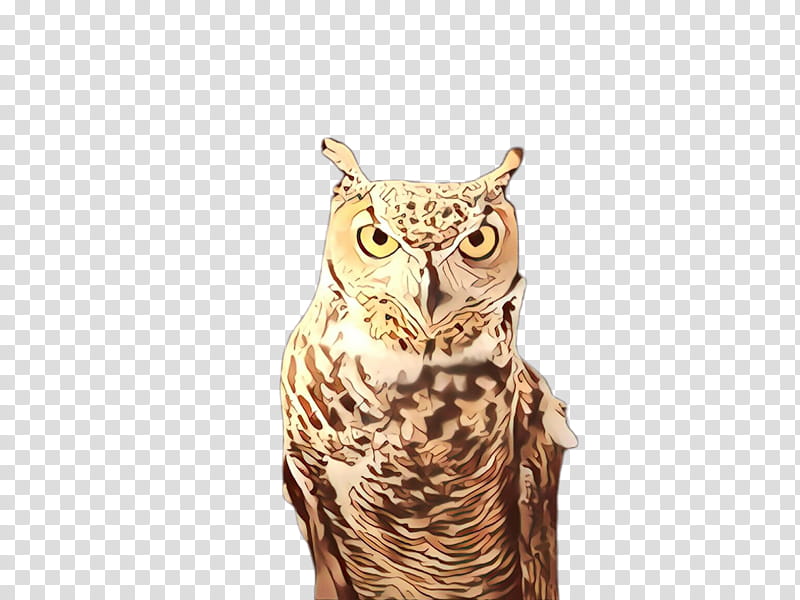 owl bird bird of prey great horned owl beak, Cartoon, Wildlife, Screech Owl, Snowy Owl transparent background PNG clipart