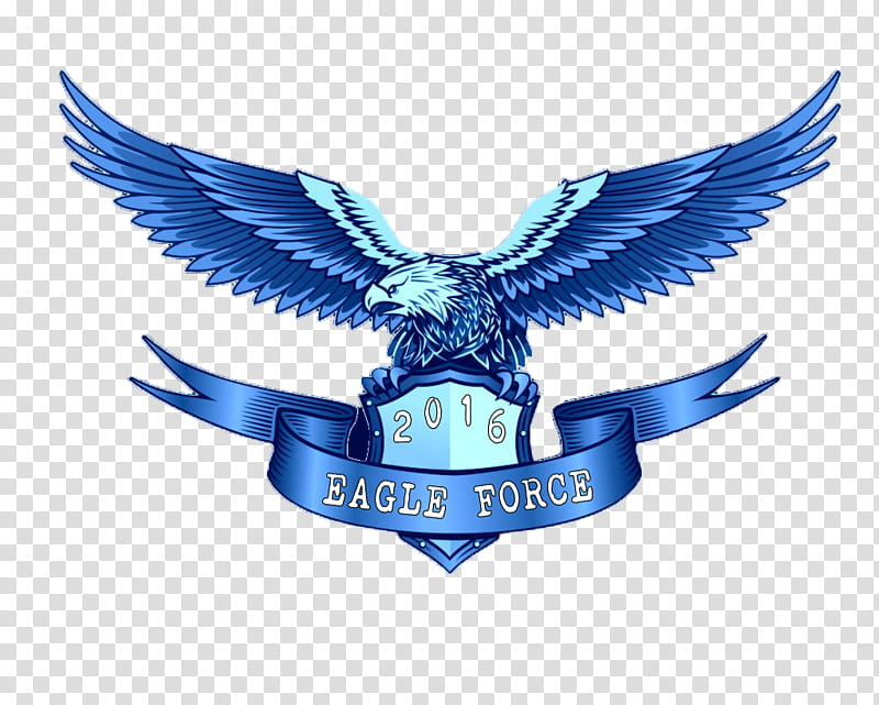 Picsart Logo, Bald Eagle, Drawing, Emblem, Symbol, Bird, Badge, Crest transparent background PNG clipart