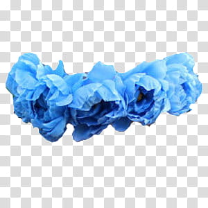 blue flower crown png