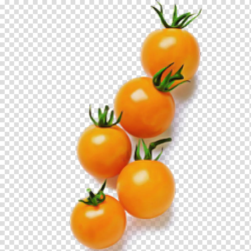 Tomato, Natural Foods, Fruit, Cherry Tomatoes, Solanum, Vegetable, Bush Tomato, Plum Tomato transparent background PNG clipart