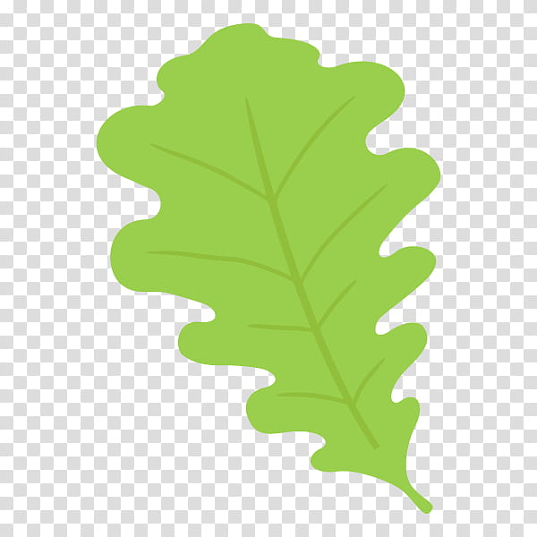 Oak Tree Leaf, Plants, Cyclobalanopsis, Plant Stem, Flower, Data, Category Of Being, Green transparent background PNG clipart