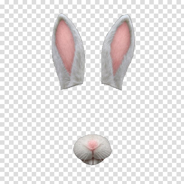 Snapchat psd, white and pink rabbit nose and ears camera filter transparent background PNG clipart