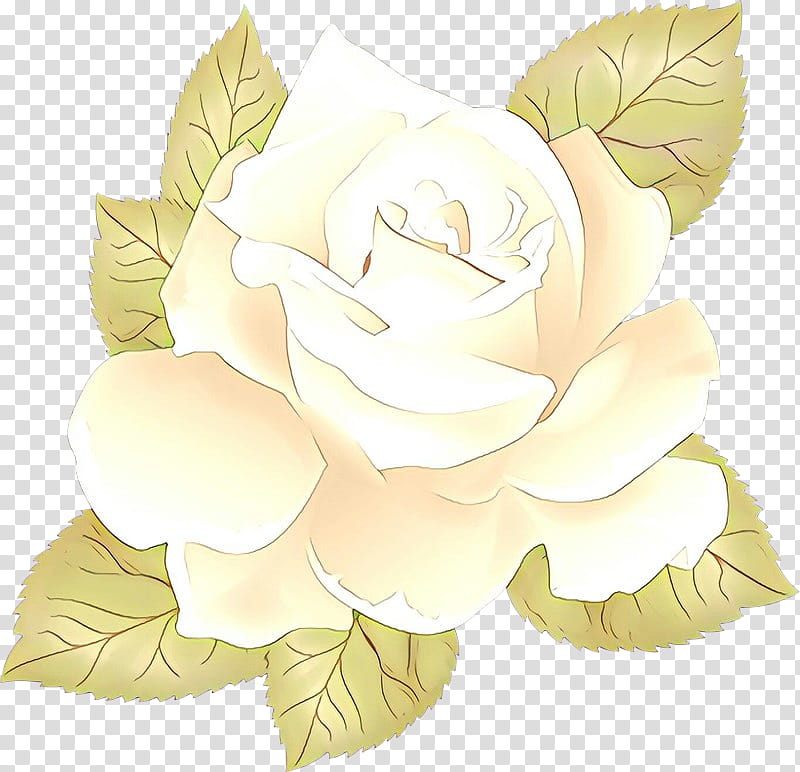 Rose, Flower, Leaf, Yellow, Petal, Plant, Gardenia, Magnolia transparent background PNG clipart