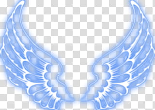 Alas de angel transparent background PNG clipart