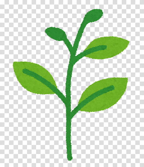 Tree Of Life, Croissance Biologique, Seed, Flower, Plants, Germination, Plant Stem, Bud transparent background PNG clipart