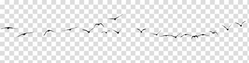 flock of birds, flying birds illustration transparent background PNG clipart