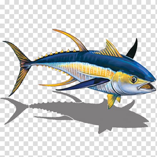 Swimming, Tuna, Swordfish, Atlantic Bluefin Tuna, Mosaic, Sardine, Tuna Fish Sandwich, Ceramic transparent background PNG clipart
