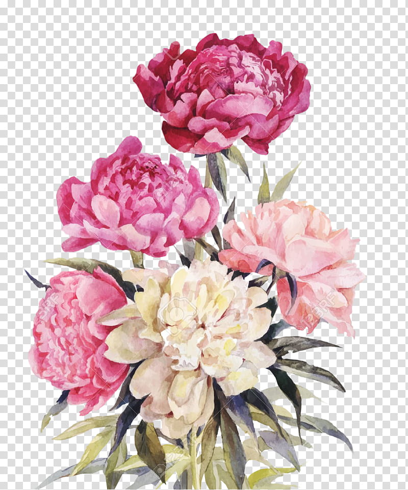 Recursos Flowers Pink, five pink and white flowers illustration transparent background PNG clipart